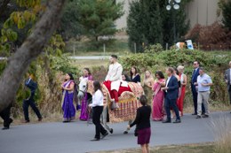 Baraat horse procession